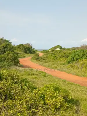 2 Acres of Beach Plot in Ngomeni