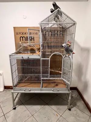 Large Imported Parrot Cage