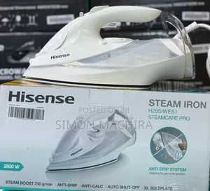 300ml Hisense White Steam Iron