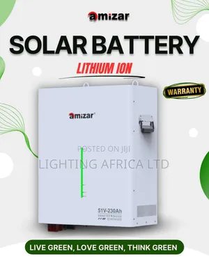 Top Brand 2.56kwh -24v (100ah) Amizar Lithium Ion Lifepo4 Battery