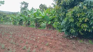 Land for Sale 3 Acres Touching a River at Diatomite Gilgil