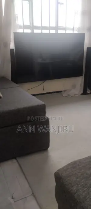 Hisense Tv 58 Inch, Broken Screen
