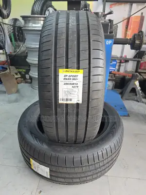 255/50r19 Dunlop Tire