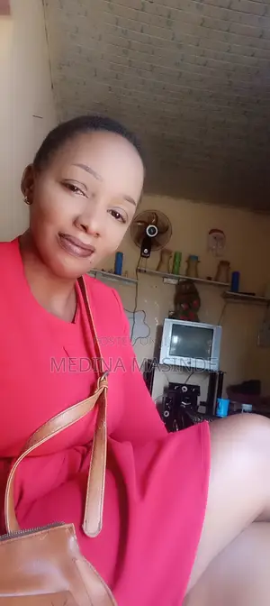 Housekeeping Cleaning CV