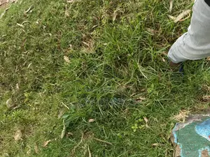 50x100 Plot for Sale in Ngobit, Laikipia County