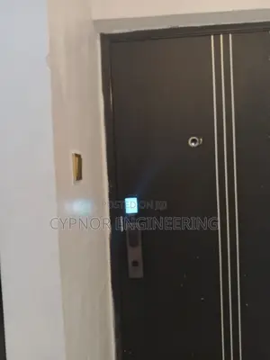 Wifi,Cards and Password Smart Locks for Stores