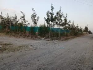 One Acre Plot