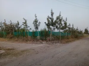 One Acre Plot
