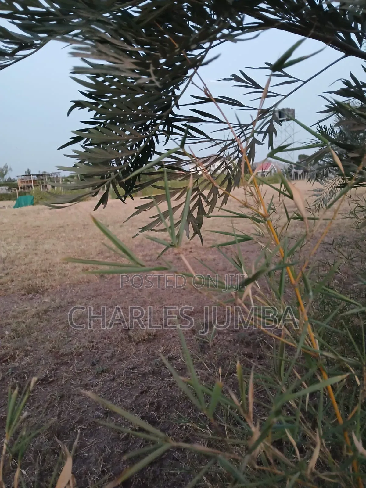 One Acre Plot