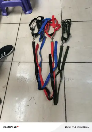 Dog Leash, Dog Leashes