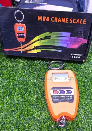 200 Kg Crane Scale/ 200kg Hanging Crane Scale