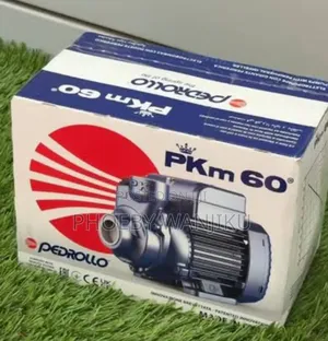 PKM 60 Booster Pump