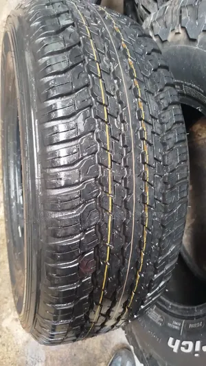 265/60r18 At25 Dunlop Grandtrek Tyres