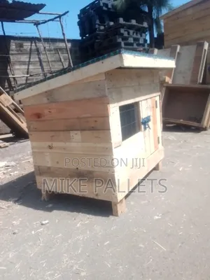 Dog Kennel and Puppies
