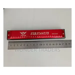 24 Holes Metallic Harmonica With Casing