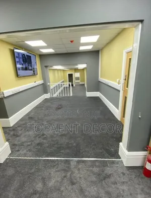 Grey 10mm Seamless Beauty Floor to Floor Wall to Wall Carpets
