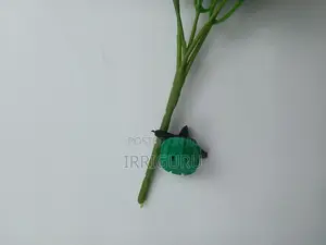 Green Button Drippers