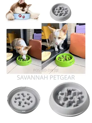 Pet Puppy Dog Slow Feeder Bowl for Dog Food and Treats