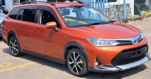 Toyota Corolla Fielder 2019 Orange