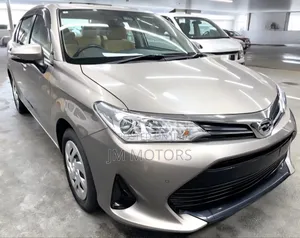 Toyota Axio 2019 Gold