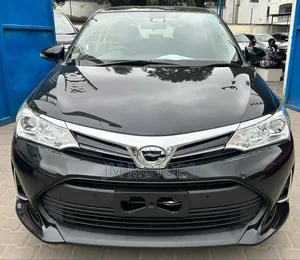 Toyota Corolla Fielder 2019 Black