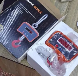 500kg Crane Scale/ Affordable Crane Scale