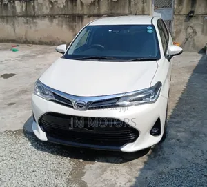 Toyota Corolla Fielder 2019 Off white