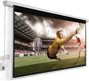 Electric 300 X 300cm Projector Screen