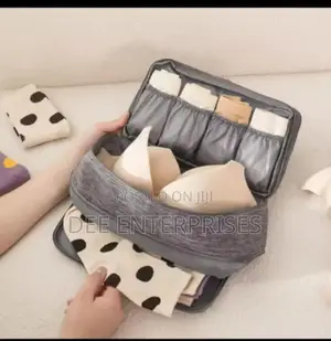Portable Undergarments Organizer Bags