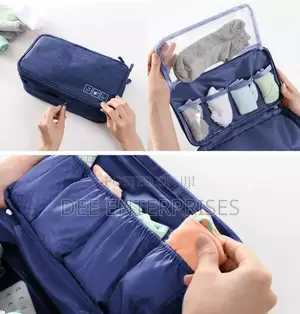 Portable Undergarments Organizer Bags