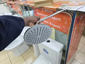 Shower Head Plus It's Arm