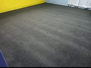 Carpet Charcoal Grey Color House Carpet