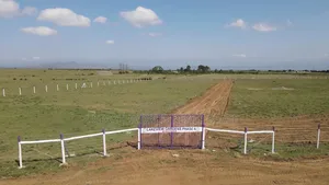1/8 Plots in Naivasha, in Cash