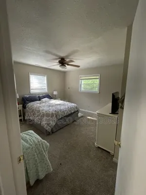 Perfect for Pets: Stain-Resistant Carpet Solutions
