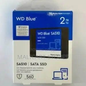 Wd Blue Sa510 2.5-Inch 2tb Sata Iii Internal SSD