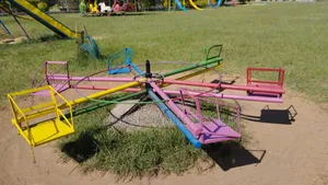 Strong Kids Merry Go Round