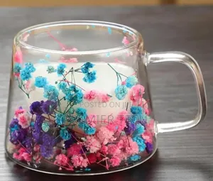 Insulated Double Wall Glass Cup