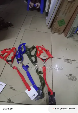 Dog Leash, Dog Leash