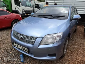 Toyota Corolla Fielder 2007 Silver