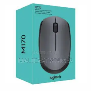 Logitech Wireless Mouse M170