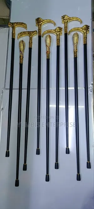 Walking Stylish Sticks With Sword
