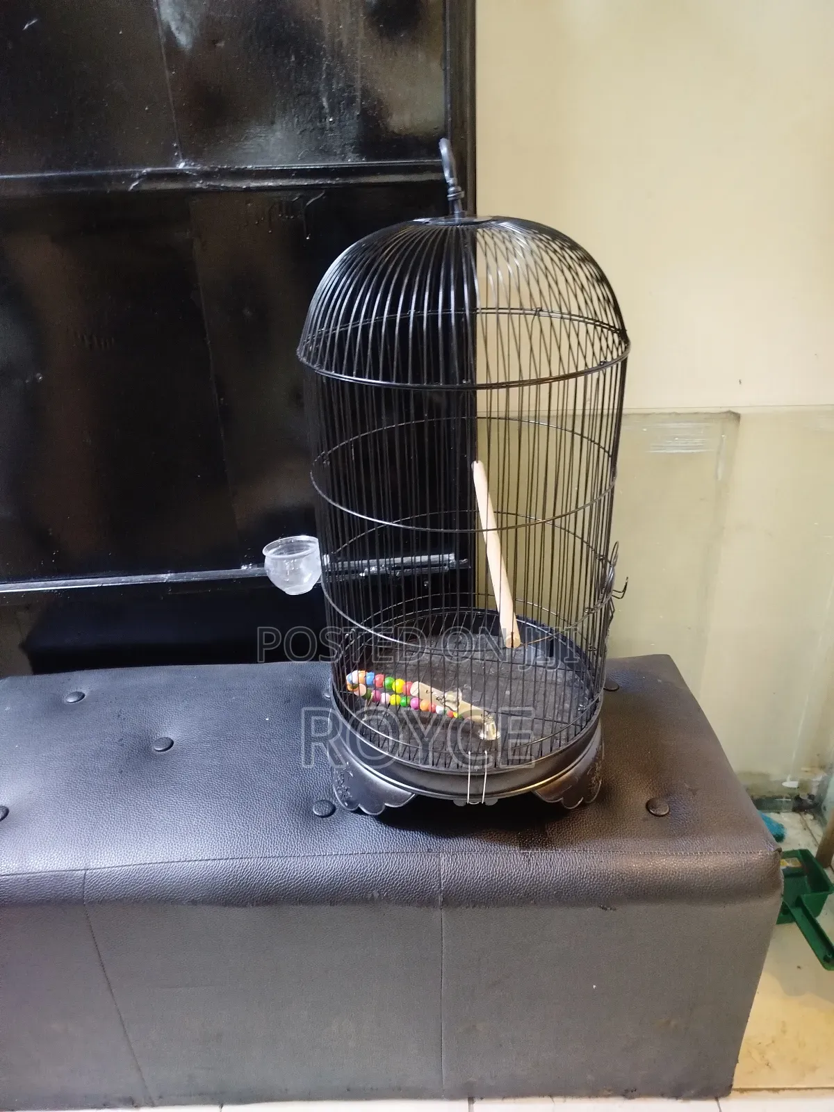 Round Bird Cage