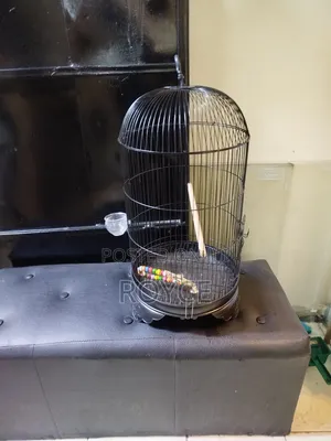 Round Bird Cage
