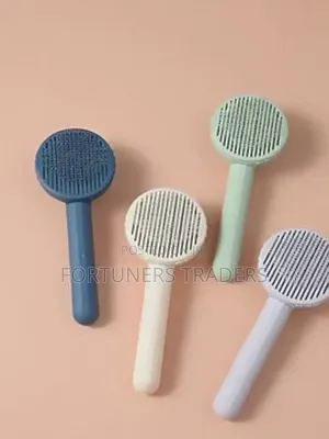 Massage Comb/Self Cleaning Comb