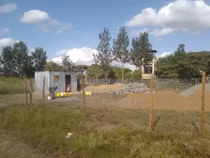 Isinya Plots