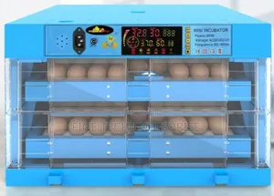128 Eggs Incubator