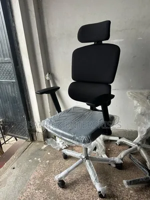 Executive Director/ C. E. O Orthopedic Double Back Chair