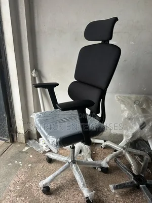Executive Director/ C. E. O Orthopedic Double Back Chair