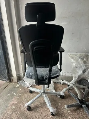 Executive Director/ C. E. O Orthopedic Double Back Chair