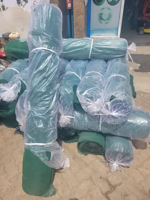 Scaffolding Safety Net